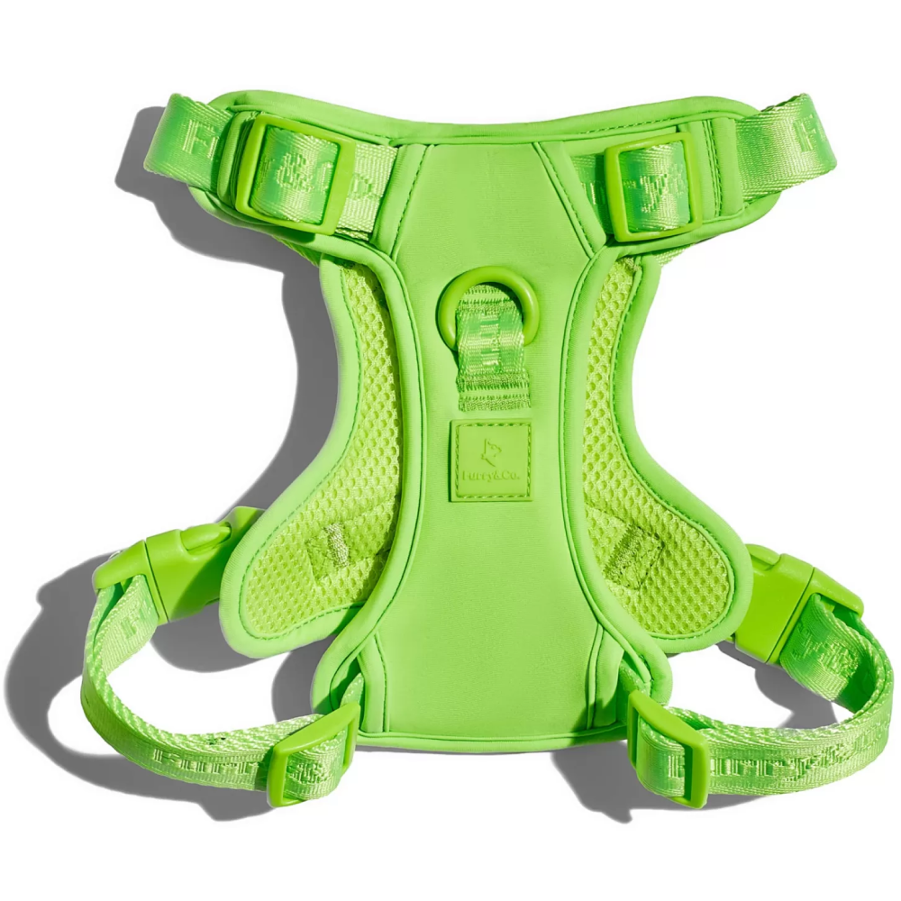 Furry & Co Ultra Harness, Leash and Collar for Dogs Combo (Limelight) - L image 3