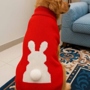 15 Furries Honey Bunny Sweater for Dogs (Red)