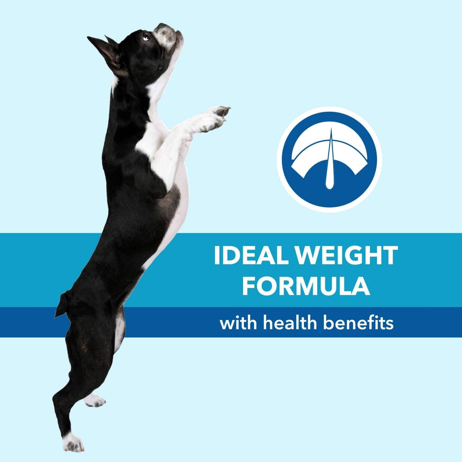 Purepet Chicken & Vegetable Adult Dog Dry Food image 6