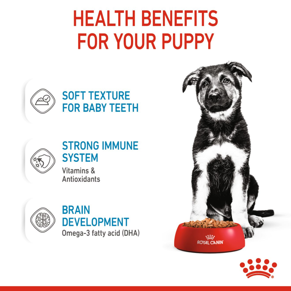 Royal Canin Maxi Puppy Dog Wet Food image 5