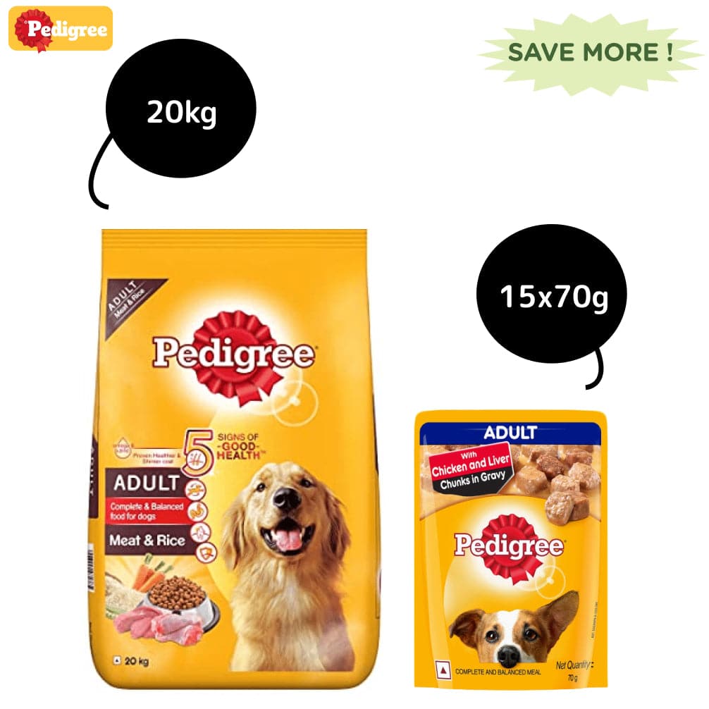 Pedigree Meat & Rice Dry and Chicken and Liver Chunks in Gravy Wet Adult Dog Food Combo image 3