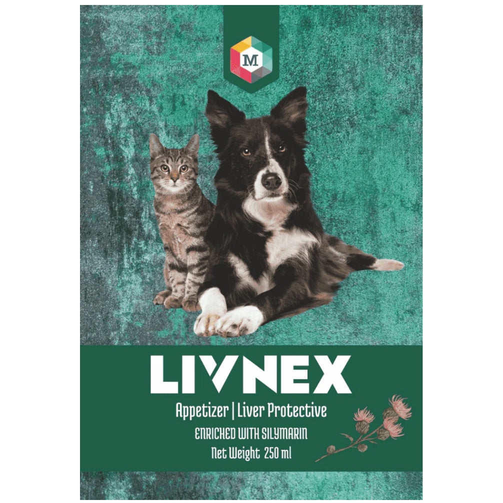 Medfly Healthcare LivNex Syrup for Dogs and Cats (250ml) image 2