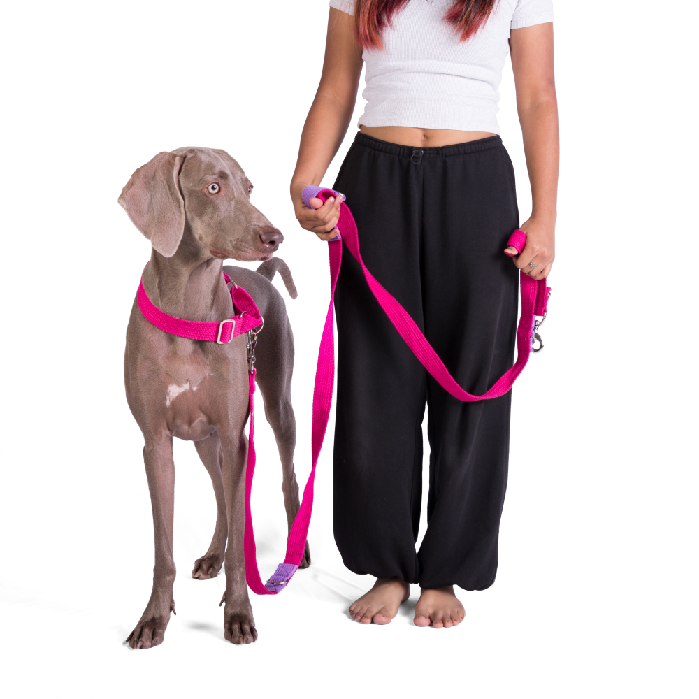 Let's Wag Multi Purpose Leash for Dogs (Pink) image 3