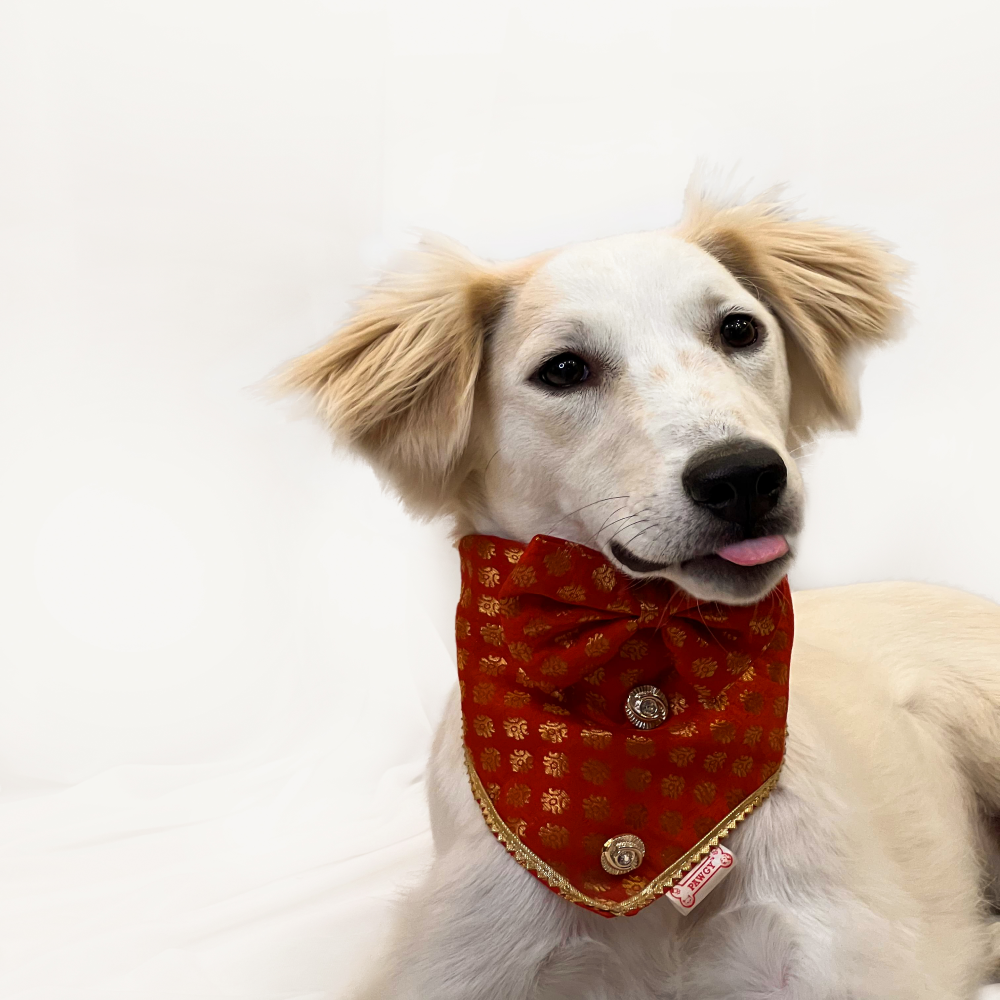 Pawgypets Occasion Wear Bow Bandana for Dogs and Cats (Red) image 2
