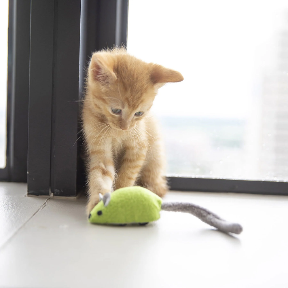 JW Zippy Mouse Toy for Cats (Green) image 2