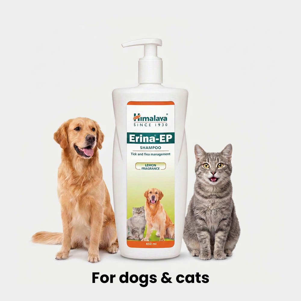 Himalaya Erina EP Tick and Flea Shampoo for Dogs and Cats image 4