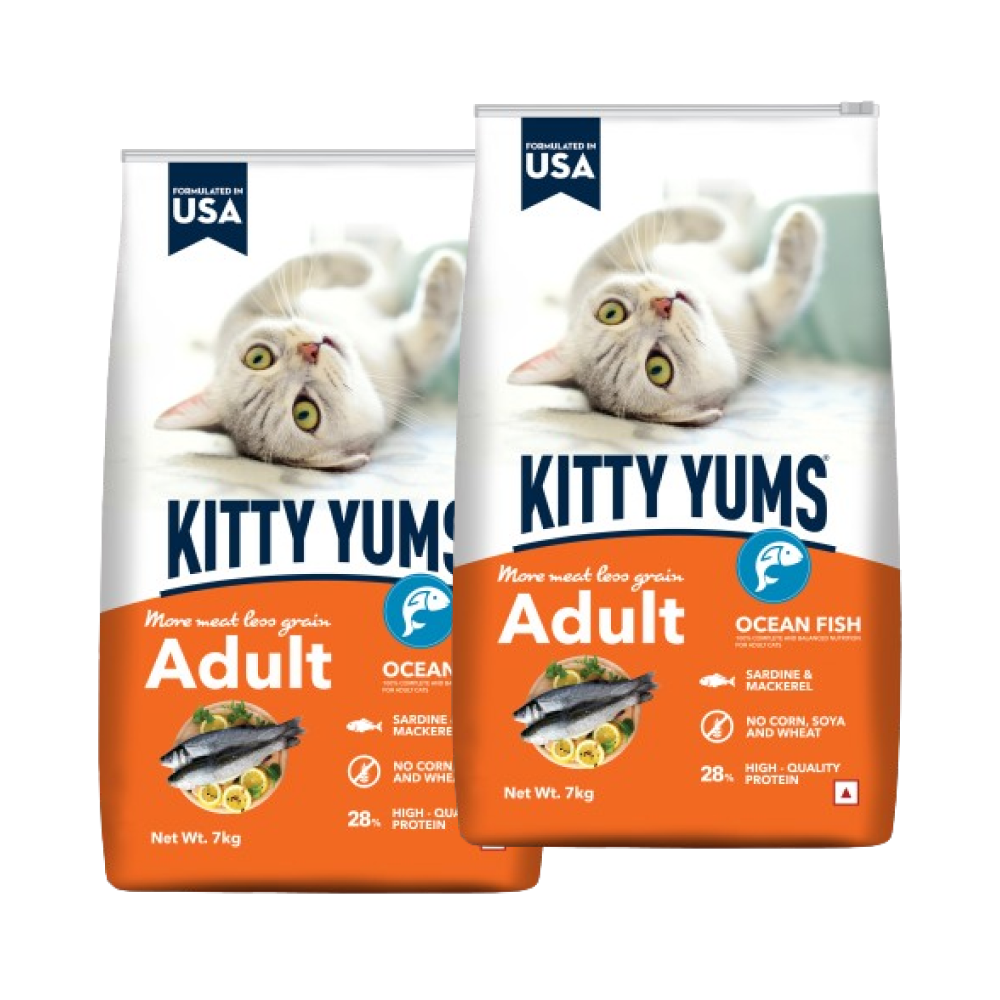 Kitty Yums Ocean Fish Adult (1+ years) Cat Dry Food image 10