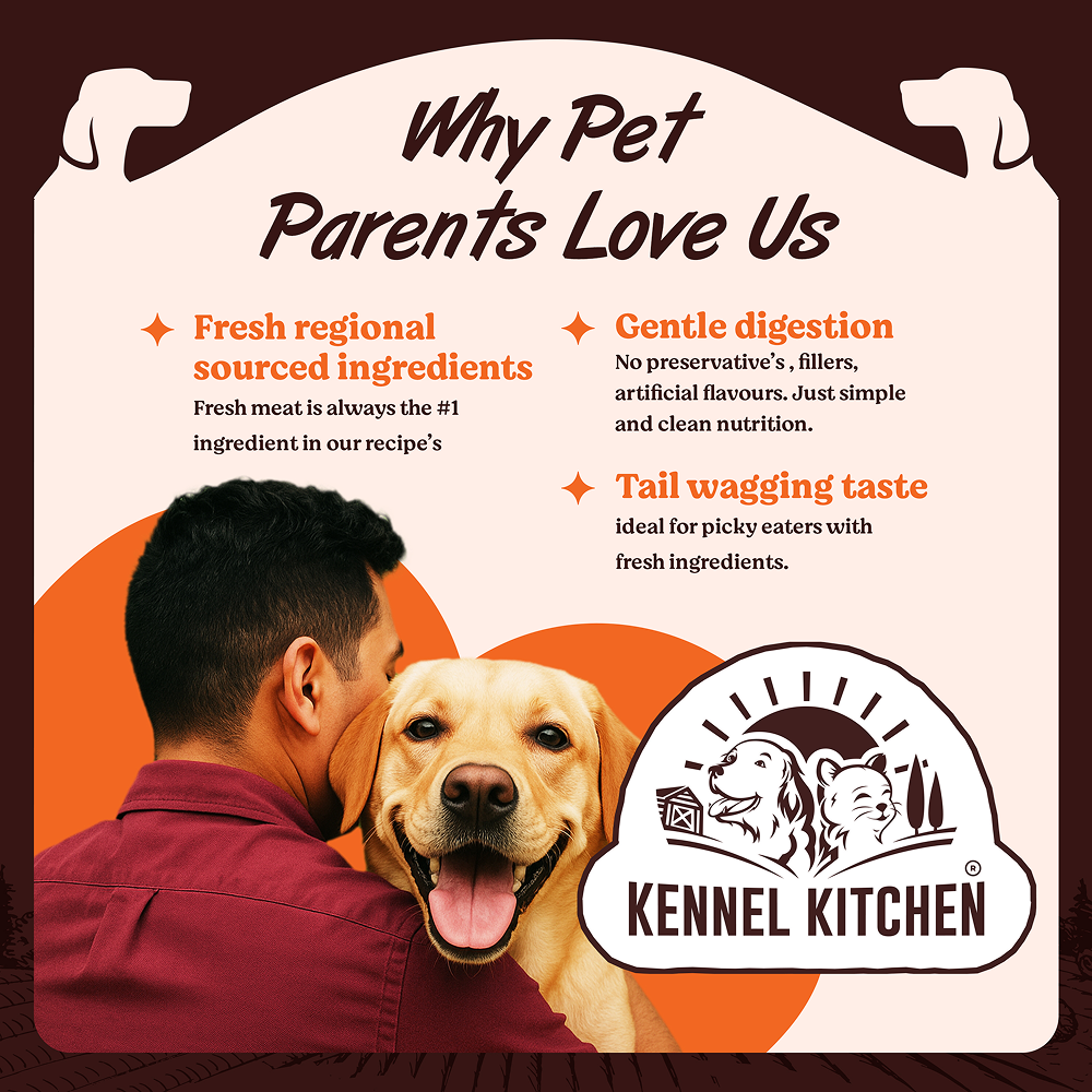 Kennel Kitchen Supreme Cuts in Gravy Fish Recipe with Pumpkin Puppy & Adult Dog Wet Food (All Life Stage) image 4