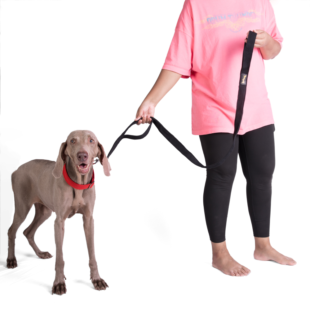 Let's Wag Double Handle Fabric Leash for Dogs (Black) image 4
