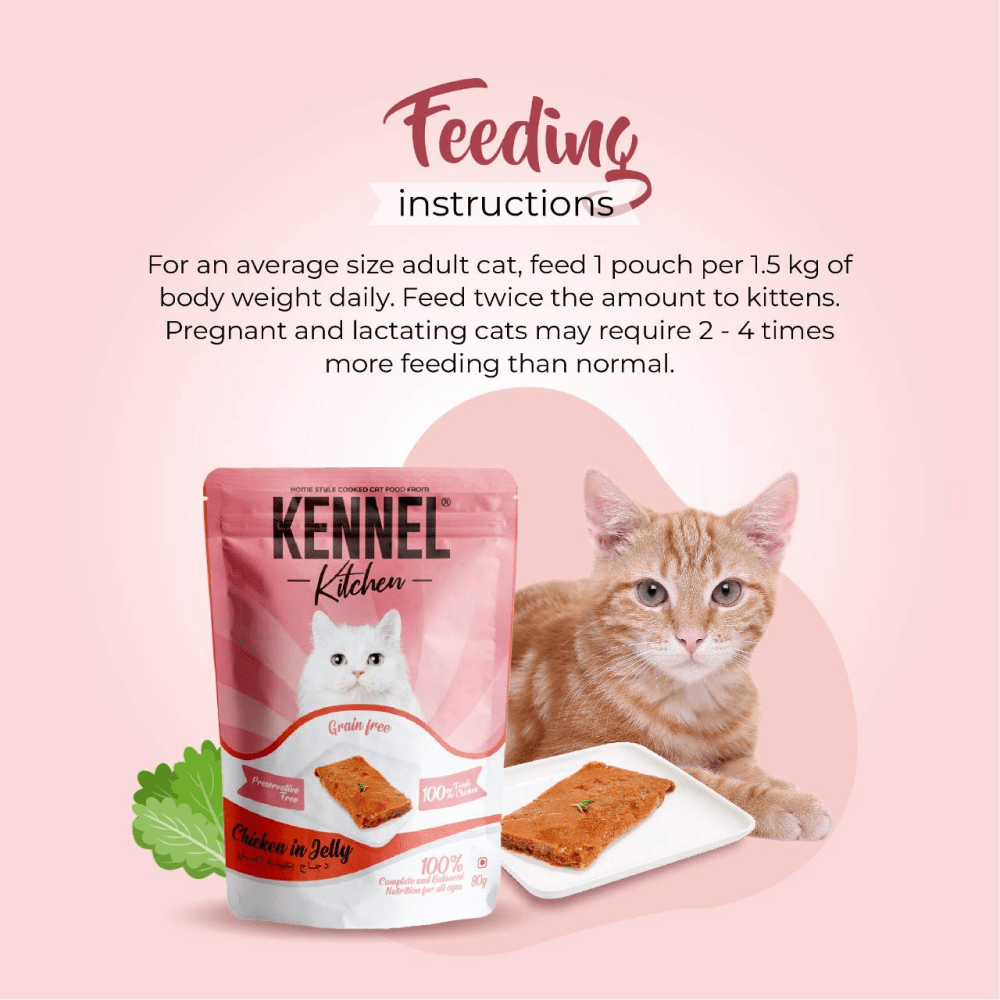 Kennel Kitchen Chicken in Jelly Kitten & Adult Wet Cat Food image 6
