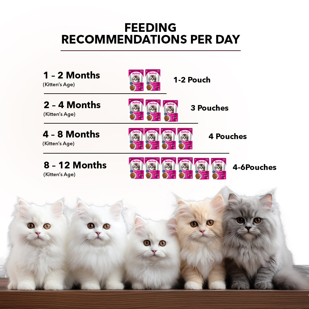 Active Real Tuna Fish in Gravy Kitten Cat Wet Food (Buy 1 Get 1) image 6