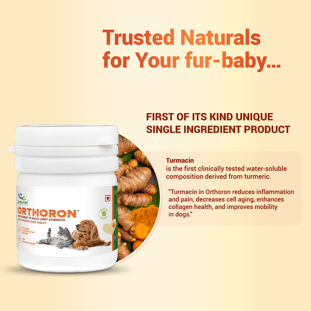 Natural Remedies Orthoron Joint Supplement Tablets for Dogs and Cats image 4