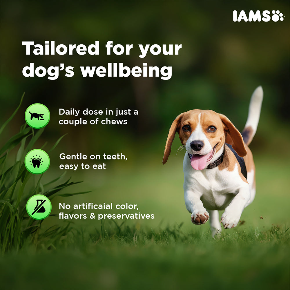 IAMS Proactive Health Dog Supplement For Healthy Immune System image 4