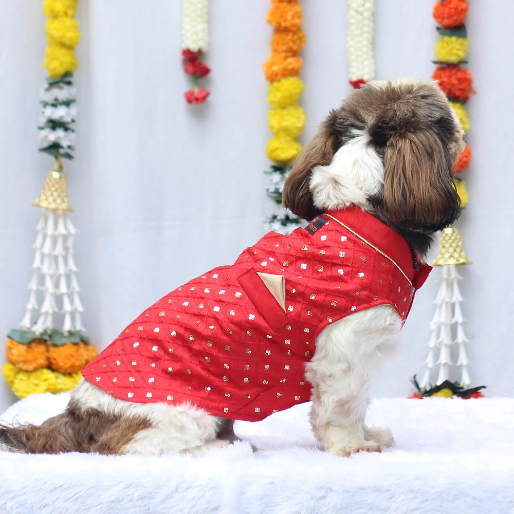 Pawgypets Festive Shahi Kurta for Dogs (Red) image 2