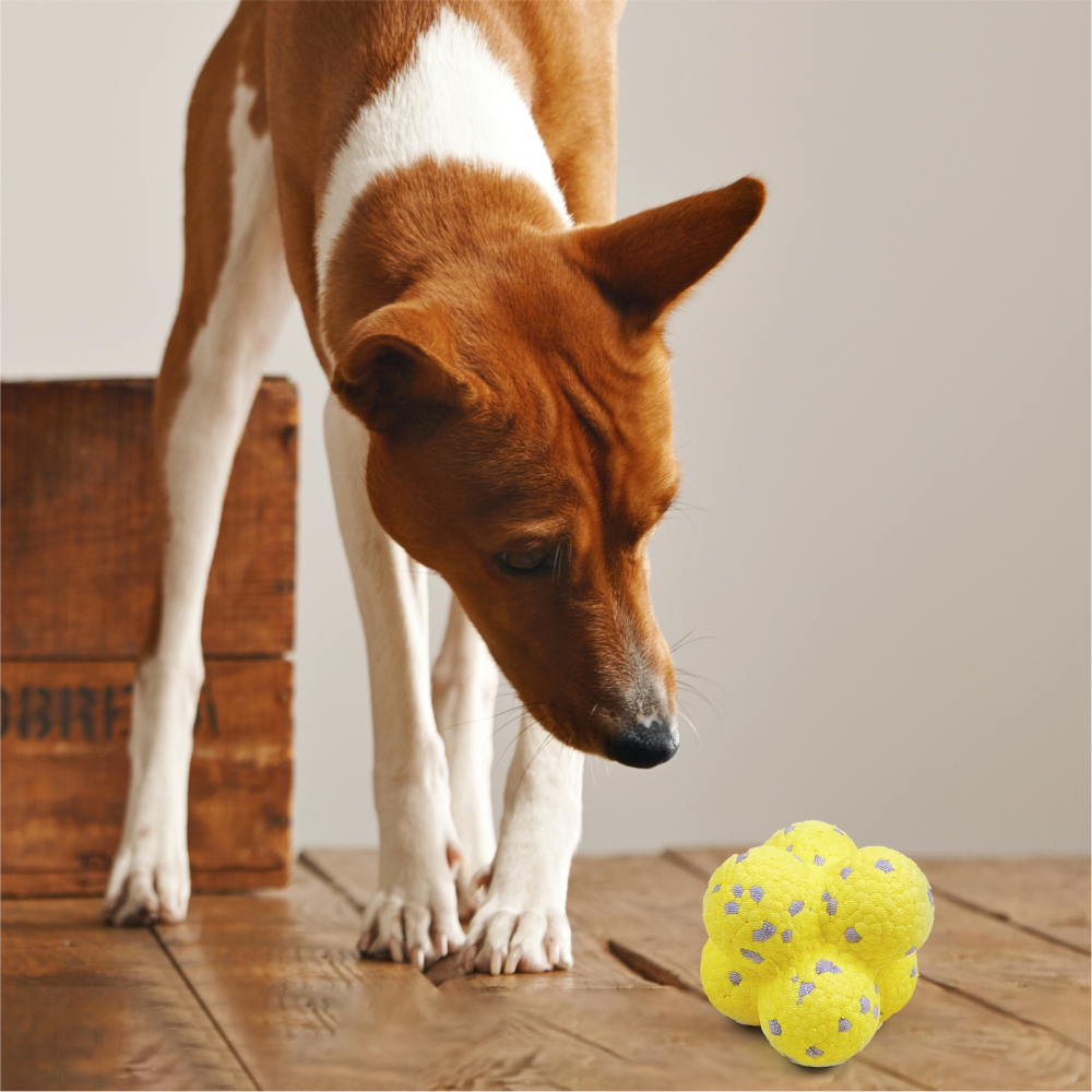 Barkbutler x Fofos Ultra Durable Ball Toy for Dogs (Yellow) image 8