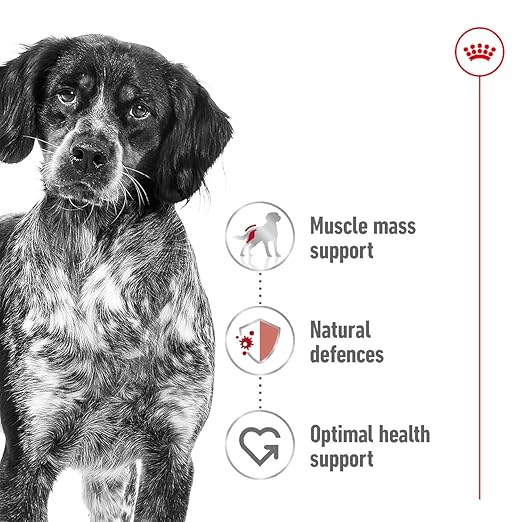 Royal Canin Medium Adult Dog Dry Food image 6