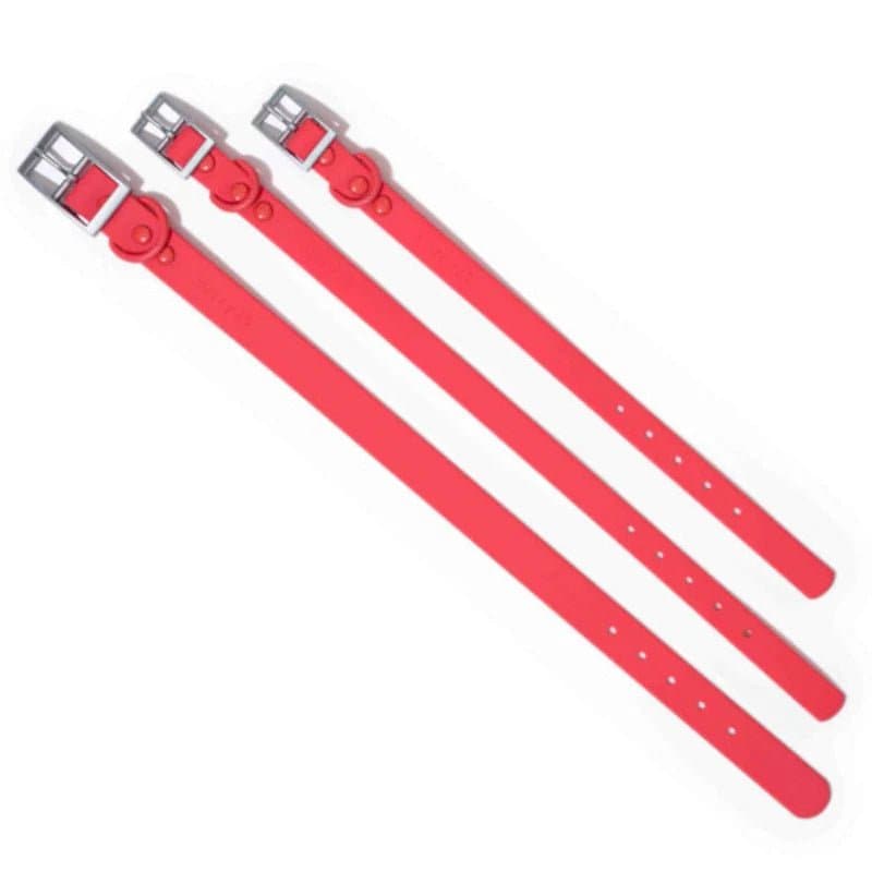 Furry & Co Weatherproof Collar for Dogs (Coral Red) image 4