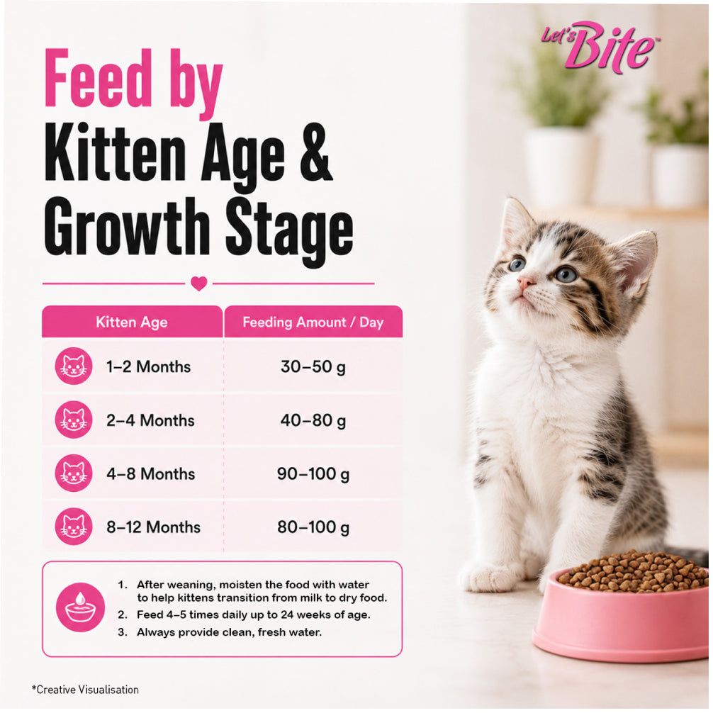 Let's Bite Active Kitten Ocean Fish Cat Dry Food (Buy 1 Get 1 Free) image 9