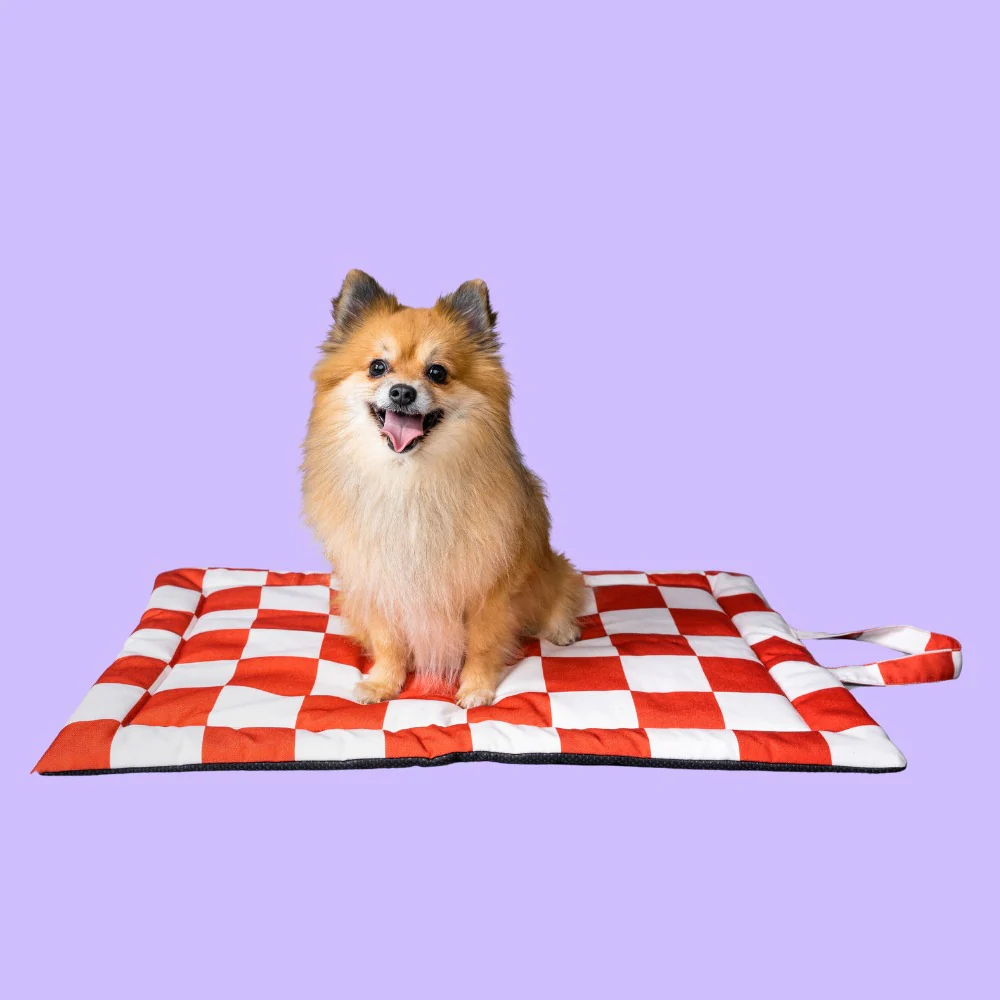 Pet Set Go Cozy Checks Mat for Dogs and Cats (Red) image 5