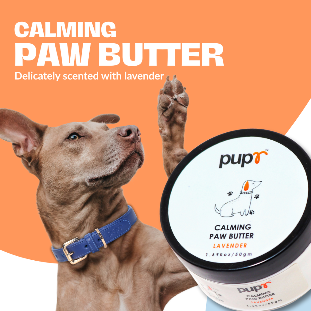 Pupr Calming Lavender Flavoured Paw Butter for Dogs image 2