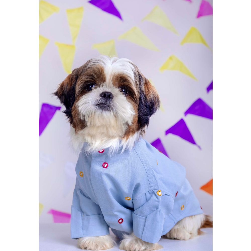 15buttons Mirrorwork Kurta for Dogs (Powder Blue)