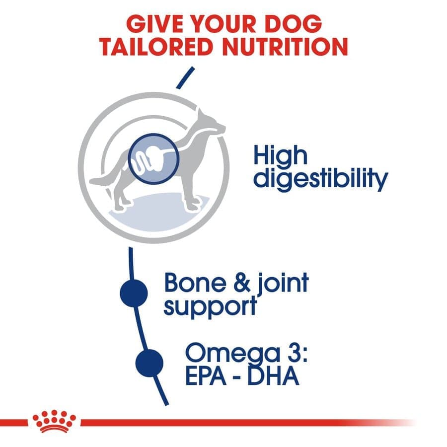 Royal Canin Maxi Adult Dog Dry and Wet Food Combo image 5