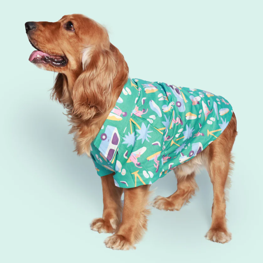 Pet Set Go Beach Club Cotton Shirt for Dogs (Blue) image 2