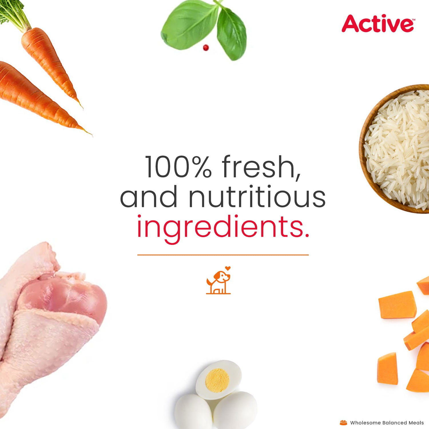 Active Chicken and Pumpkin Biryani Fresh Food For Dogs (Buy 1 Get 1) image 5