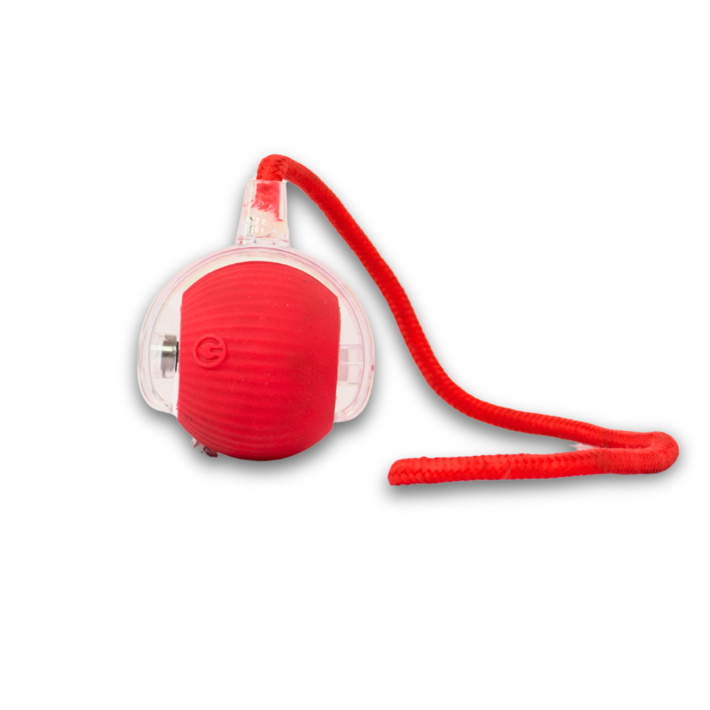 Skatrs Smart Running Ball with String Toy for Cats (Red)