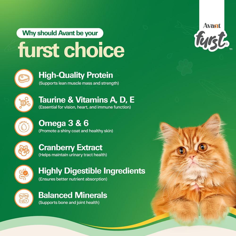 Avant Furst Tuna Fish Flavour Adult Cat Dry Food image 4