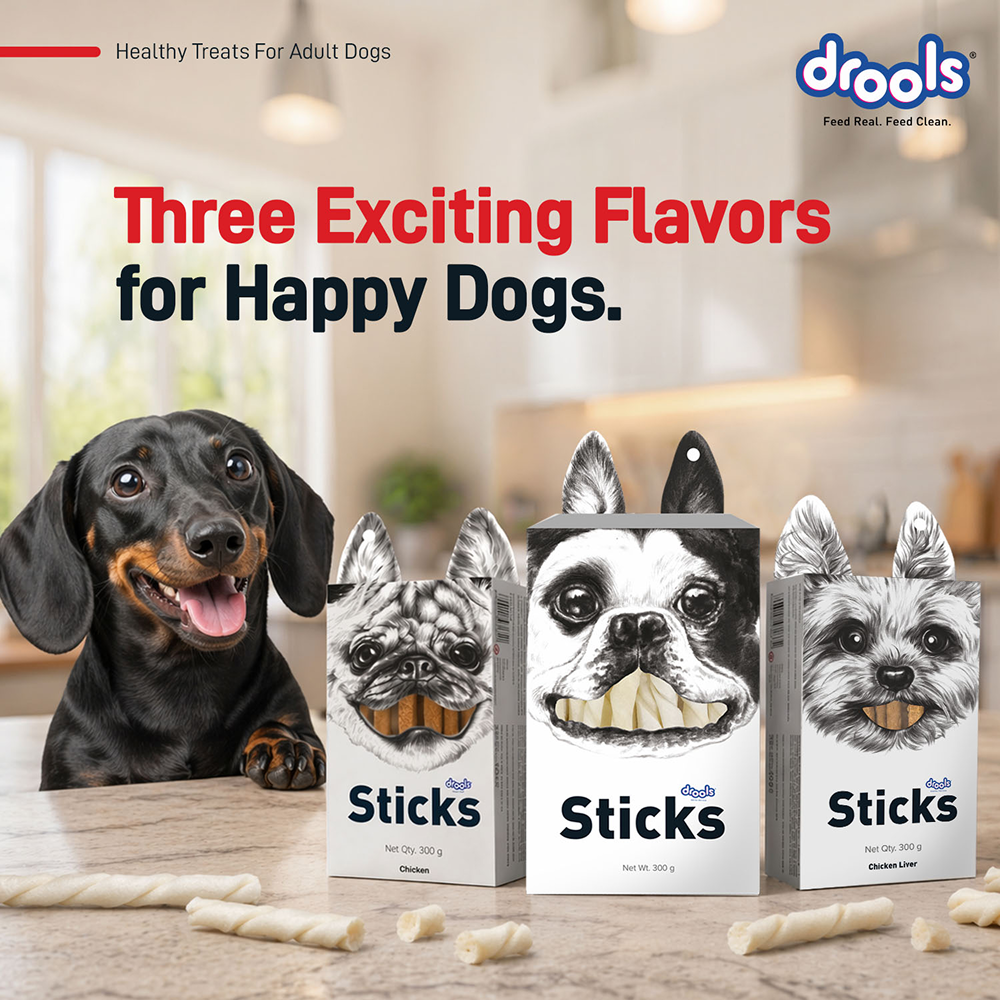 Drools Rawhide Chicken Liver Sticks Dog treats image 6