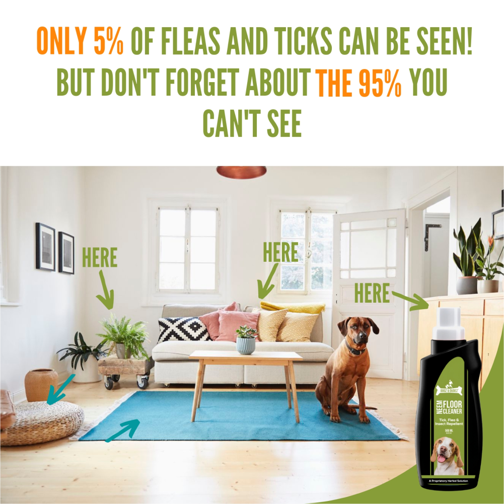 DOGZ & DUDEZ Tick and Flea Repellent Floor Cleaner for Dogs and Cats image 5