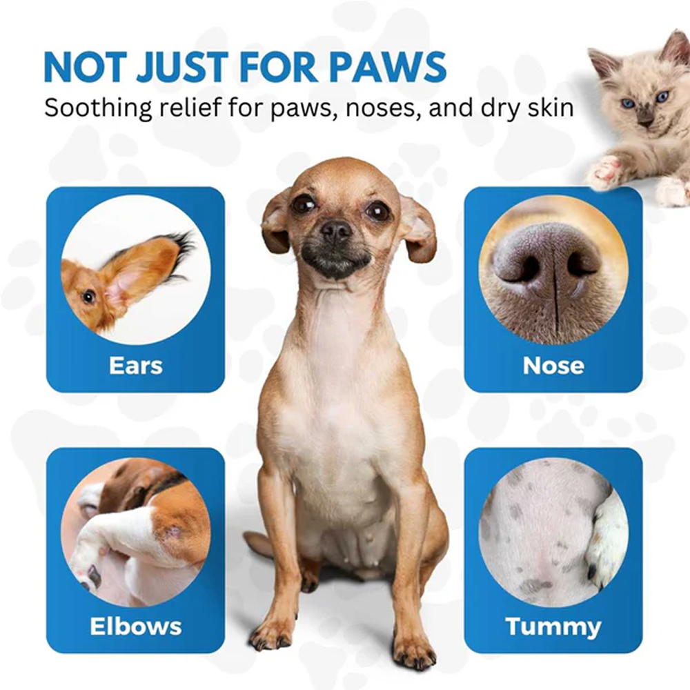 Hank Paw Cream for Dogs and Cats image 4