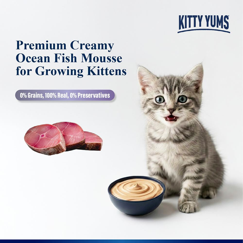 Kitty Yum Ocean Fish Mousse Kitten Cat Wet Food image 6