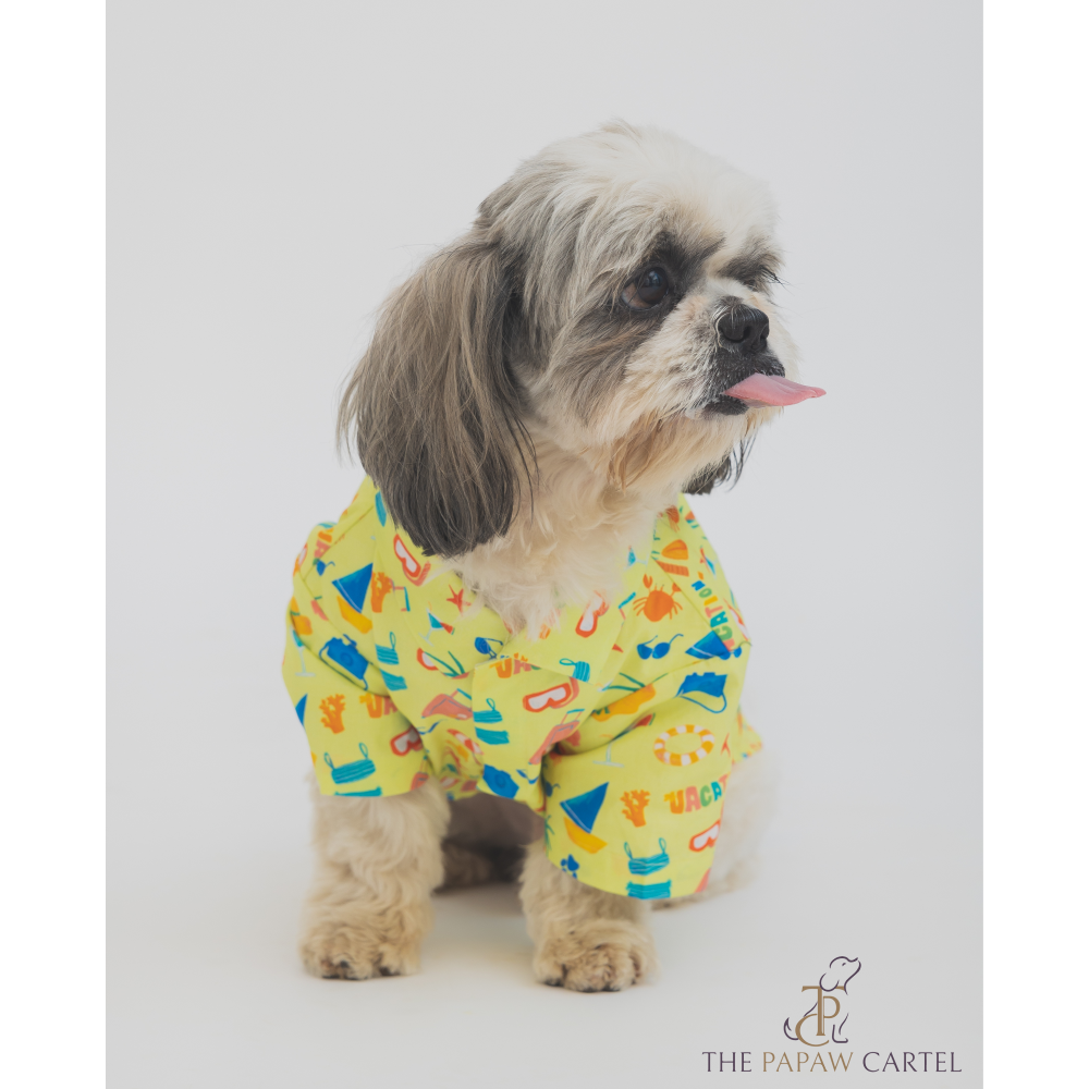 The Papaw Cartel Vacation Dress for Dogs (Lime Green) image 4