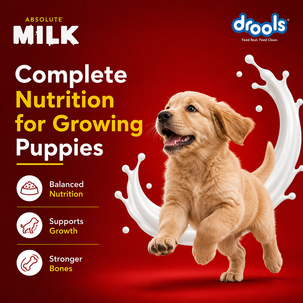 Drools Absolute Milk for Newborn Puppies image 6