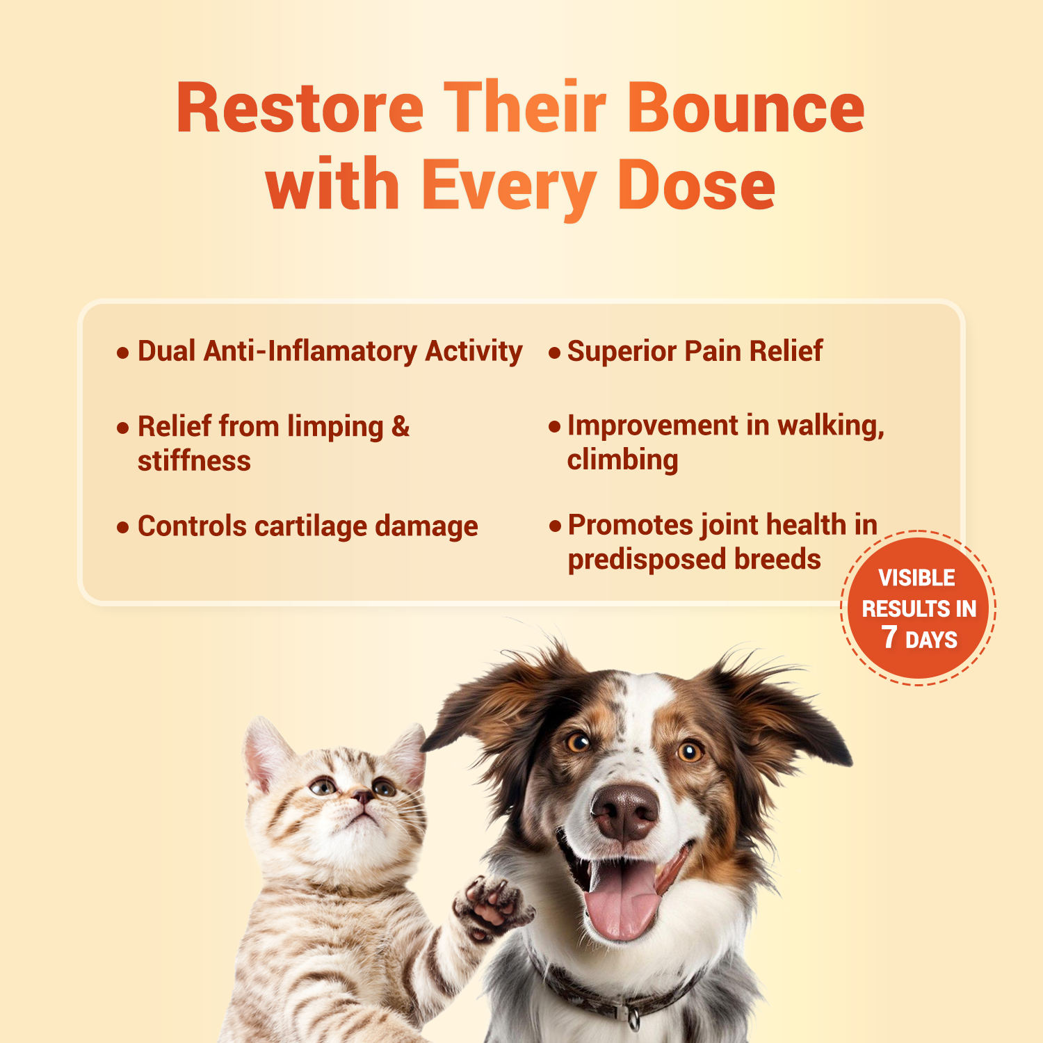 Natural Remedies Orthoron Plus Joint Supplement Tablets for Dogs and Cats image 2