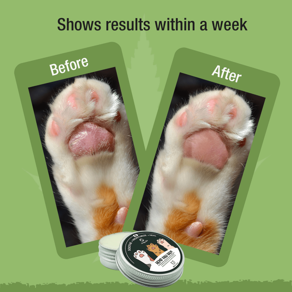 Goofy Tails Hemp Butter Paw Cream for Cats image 6