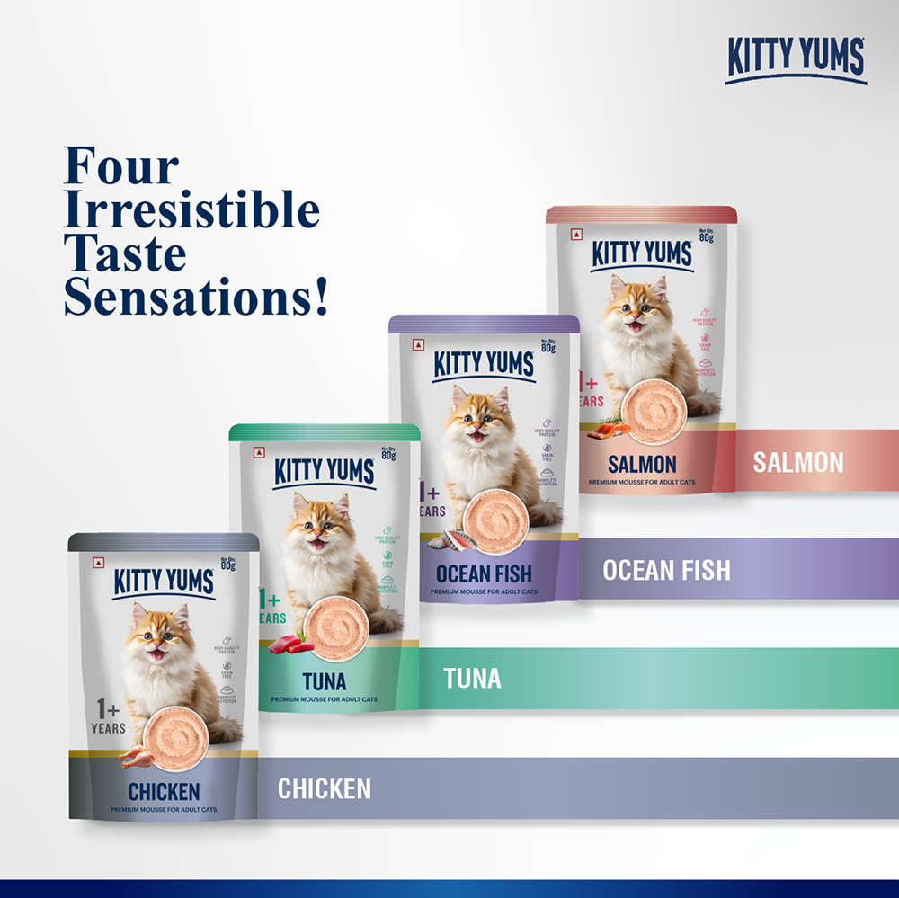 Kitty Yum Salmon Mousse Adult Cat Wet Food image 8