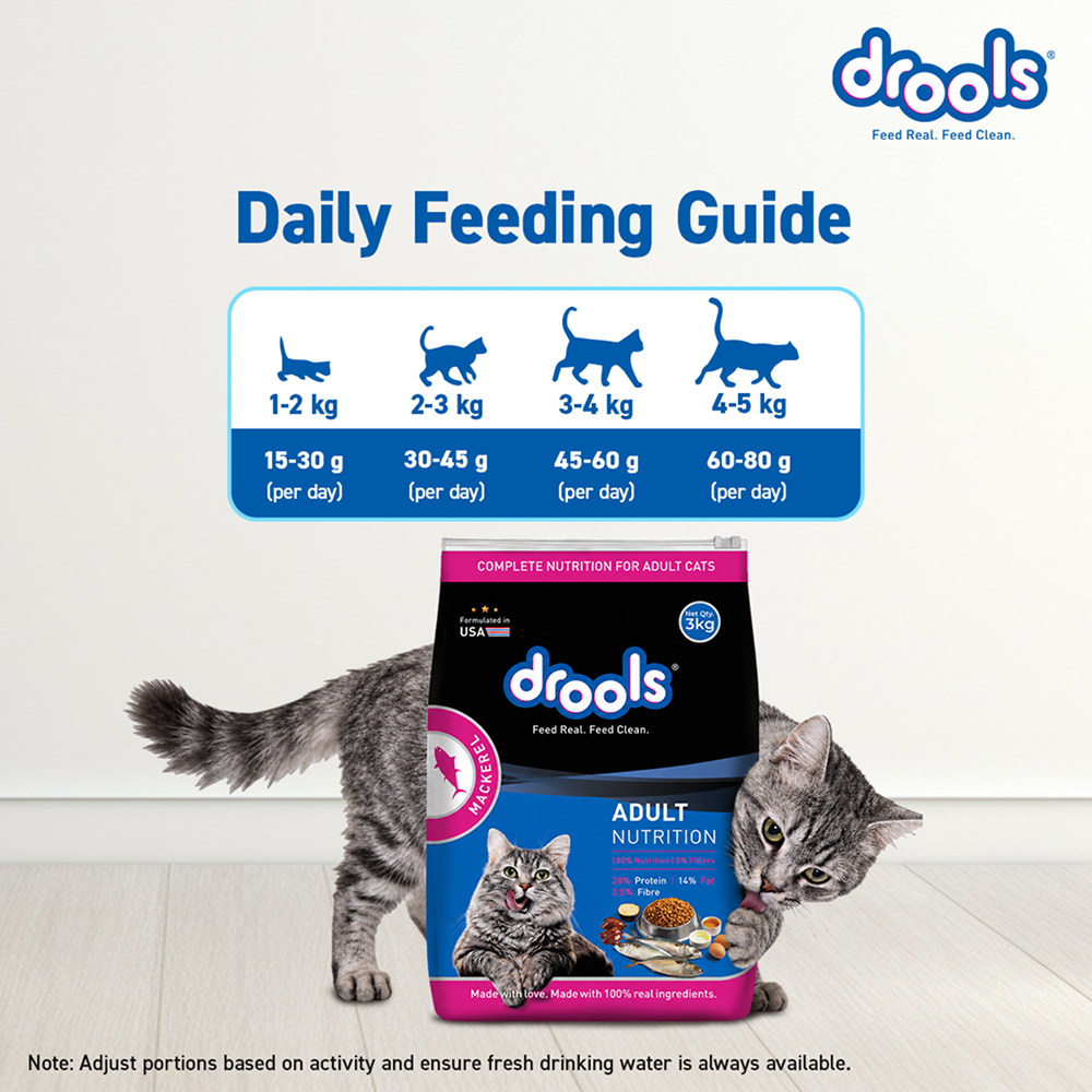 Drools Mackerel Adult Cat Dry Food image 6