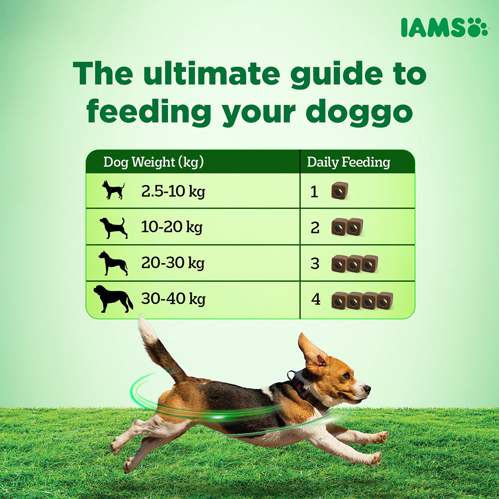 IAMS Proactive Health Dog Supplement For Healthy Immune System image 7