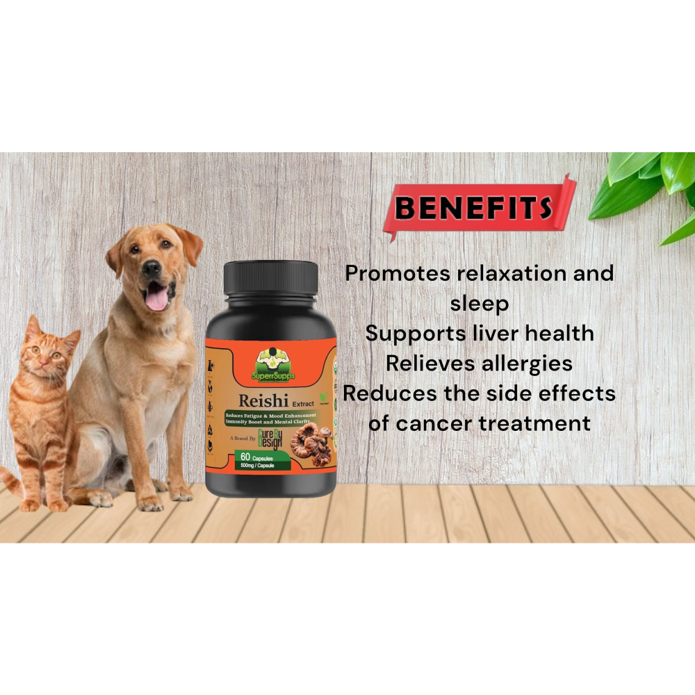 Cure By Design Reishi Mushroom Capsules for Dogs and Cats image 4
