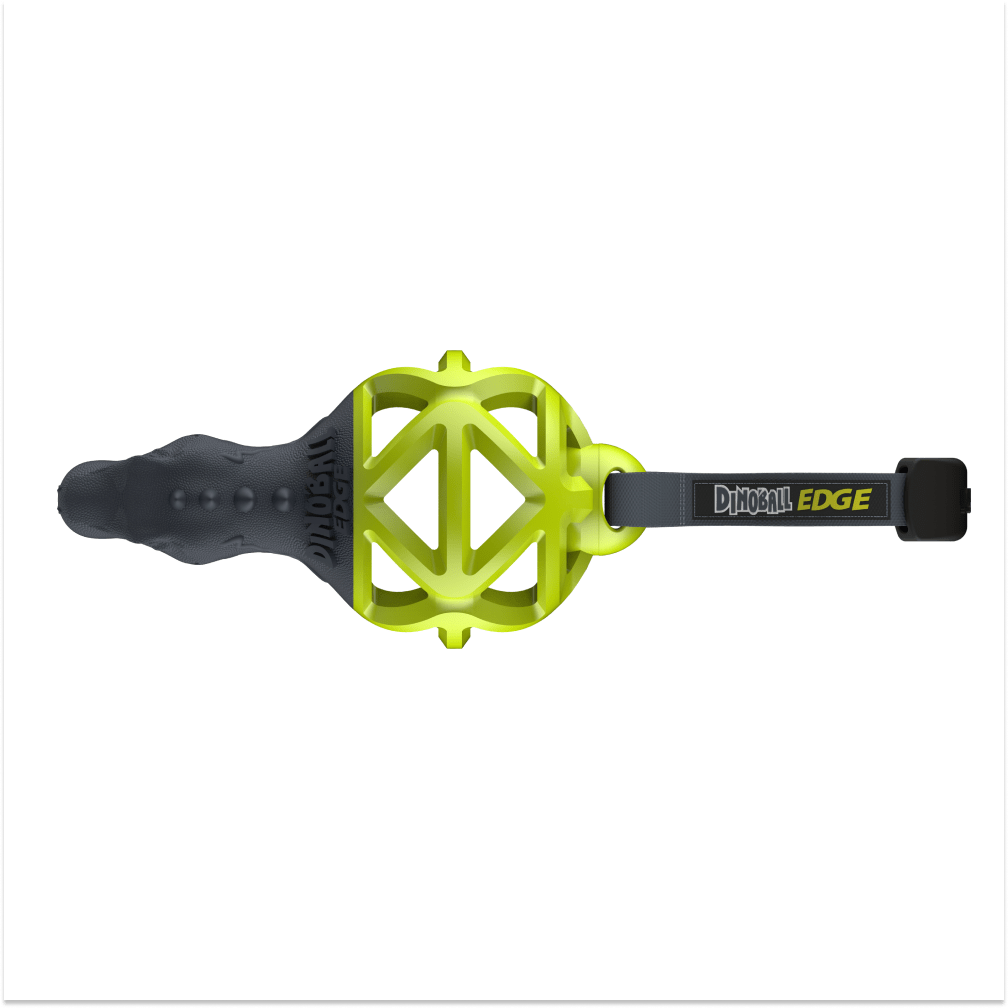 Gigwi Dinoball Edge with Strap Chew Toy for Dogs (Green) image 4