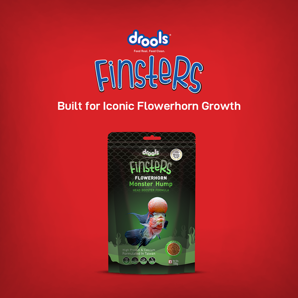 Drools Finsters Flower Horn Monster Hump Fish Food image 4