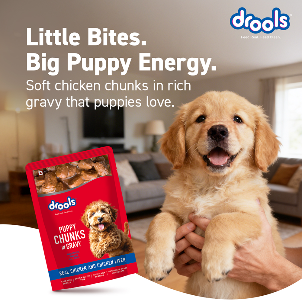 Drools Real Chicken & Chicken Liver Chunks in Gravy Puppy Dog Wet Food image 9