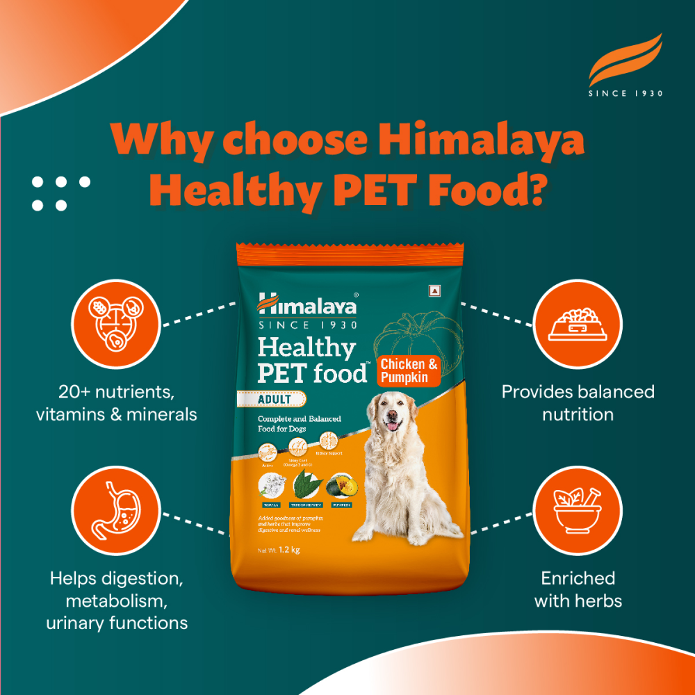 Himalaya Chicken & Pumpkin Adult Dog Dry Food image 4