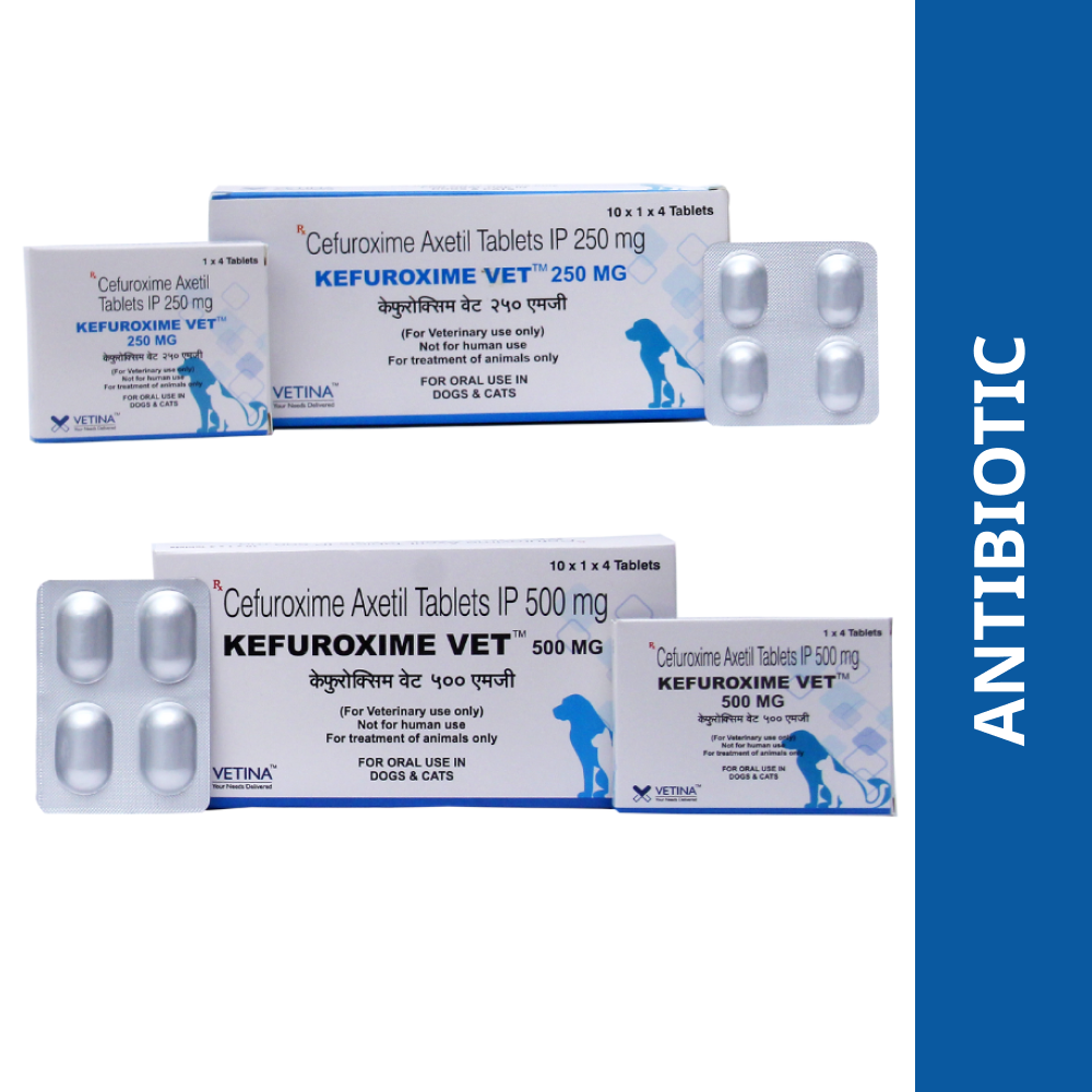 Vetina Kefuroxime Vet 250mg Tablets (Cefuroxime Axetil) for Dogs and Cats image 2