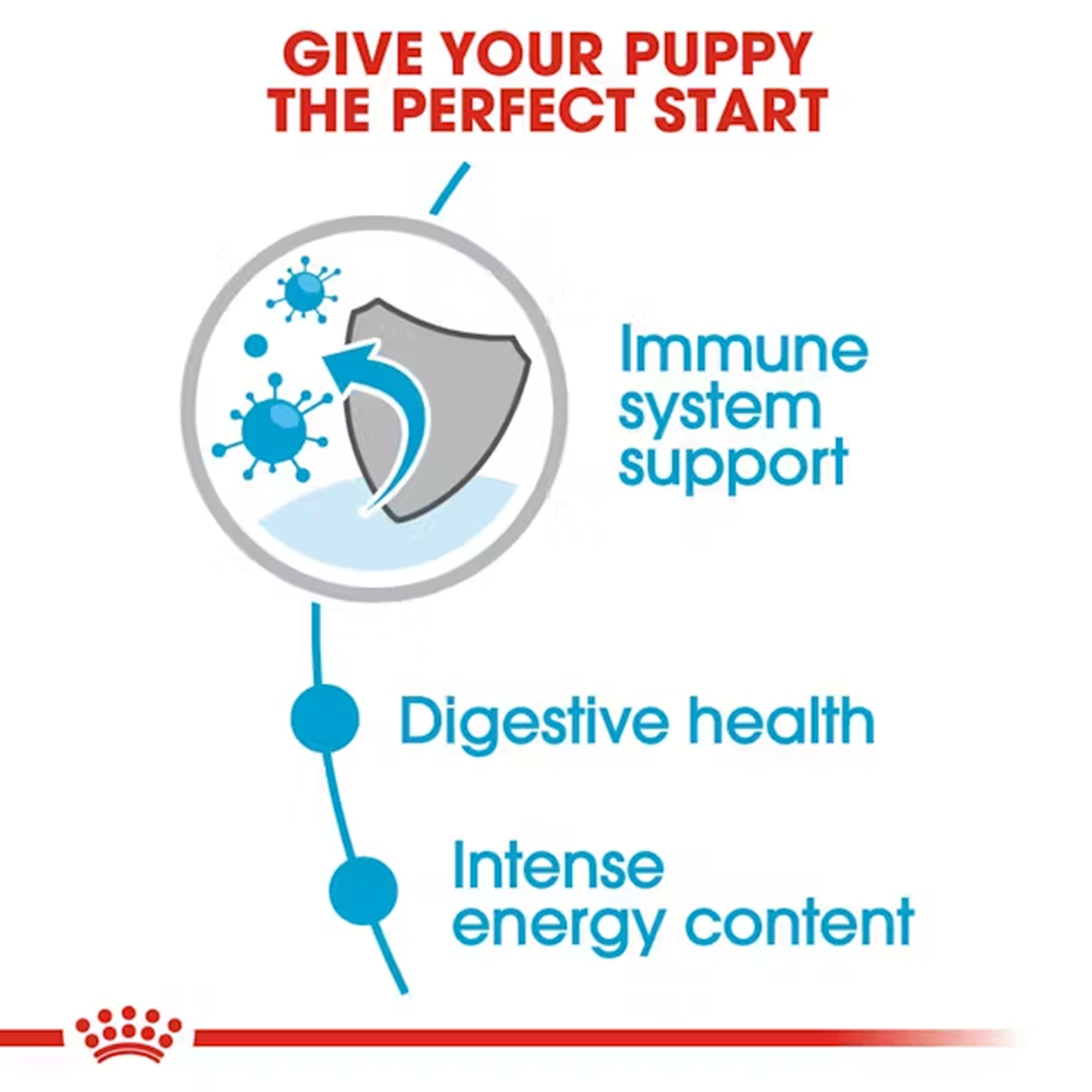Royal Canin Mini Puppy Dog Wet Food image 2