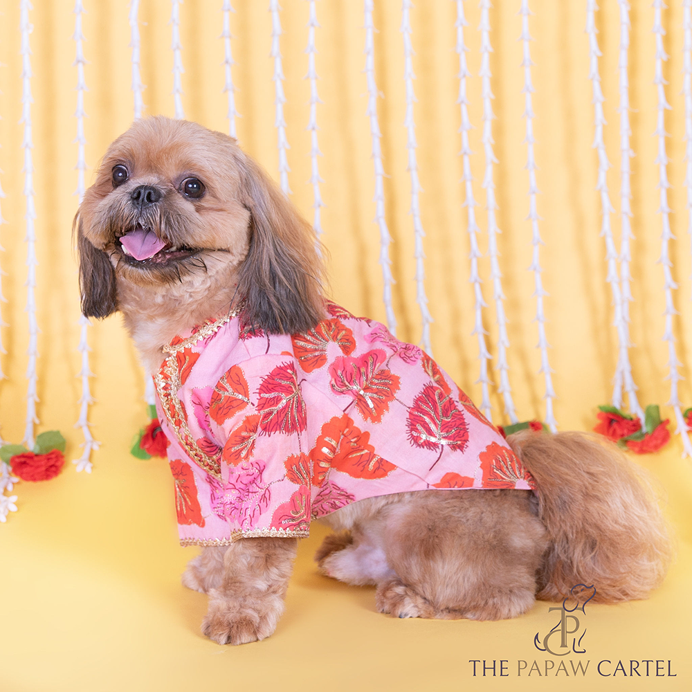 The Papaw Cartel Maple Print Sherwani with Sequins for Dogs & Cats (Pink/Orange)