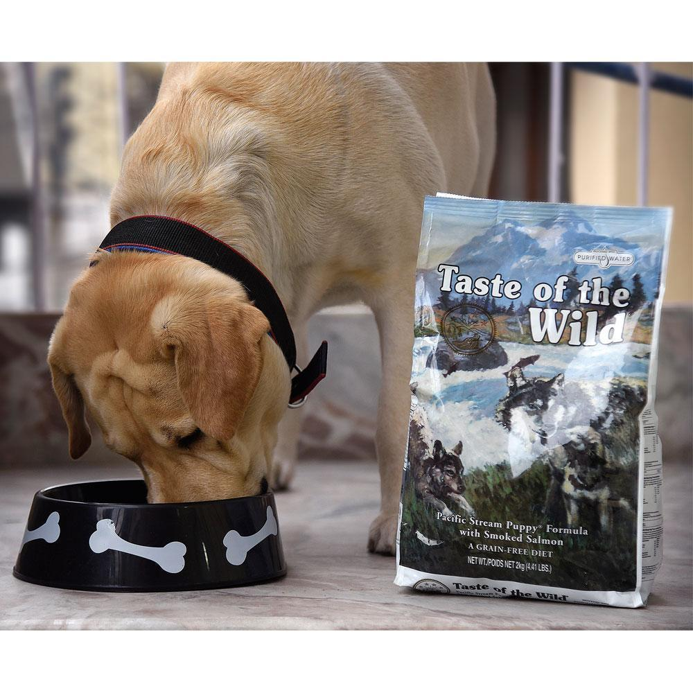 Taste of the Wild Pacific Stream Smoked Salmon Puppy Dog Dry Food | Grain Free Formula image 6